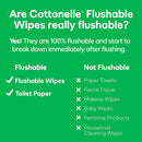 Cottonelle GentlePlus Flushable Wet Wipes with Aloe & Vitamin E - 8 Flip-Top Packs, 168 Total Flushable Wipes