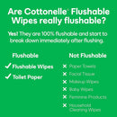 Flushable Wet Wipes, Cottonelle GentlePlus, Biodegradable & Septic Safe, 8 Flip-Top Packs of 42 (336 Wipes)