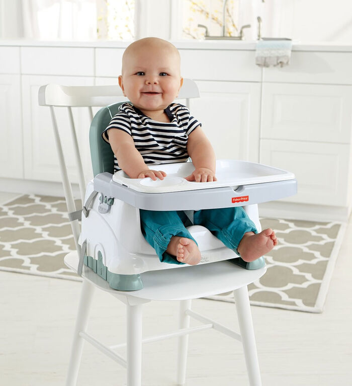 Fisher-Price Healthy Care Deluxe Booster Seat