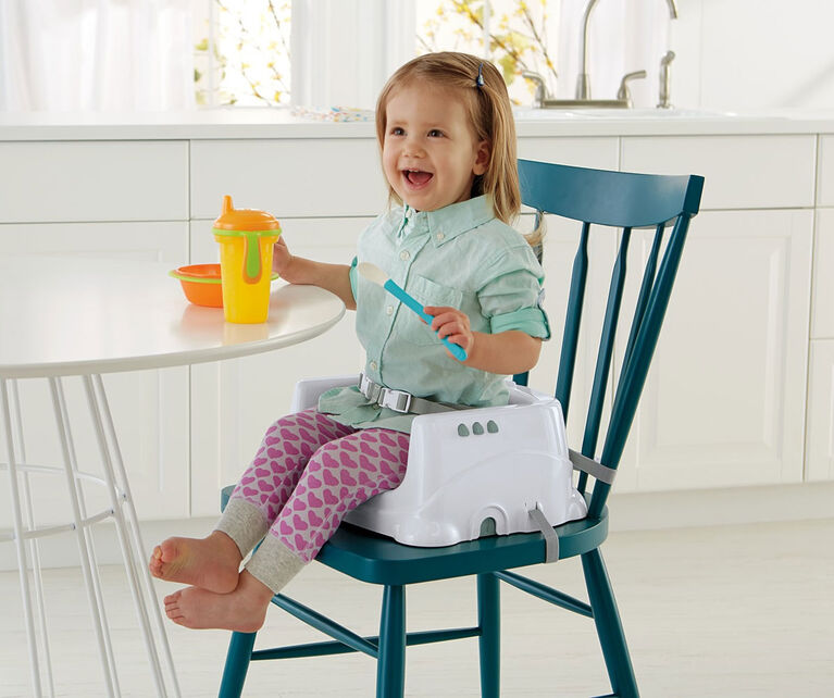 Fisher-Price Healthy Care Deluxe Booster Seat