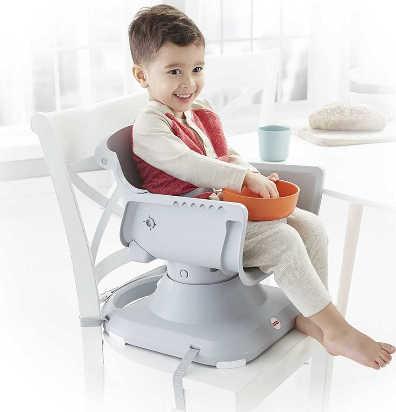 Fisher-Price SpaceSaver High Chair, Multi Color