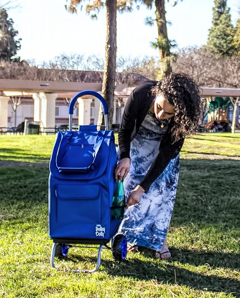 Trolley Dolly, Blue Shopping Grocery Foldable Cart