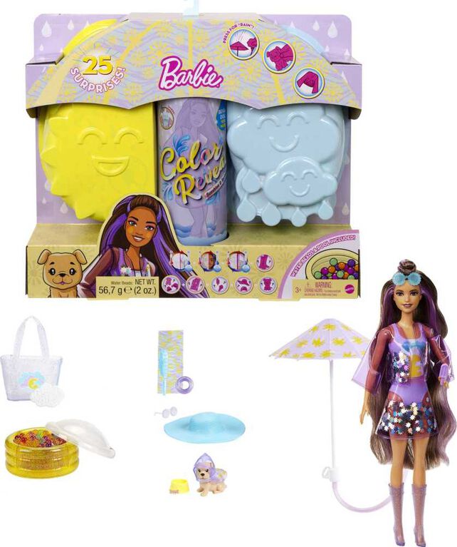 Barbie Color Reveal Sunshine and Sprinkles Doll and Accessories