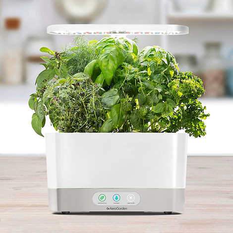 AeroGarden Harvest Indoor Garden, White