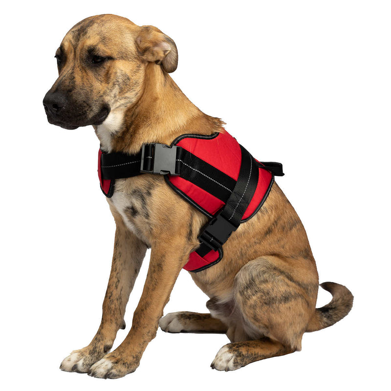 Silver Paw Heavy Duty Harness for Dogs