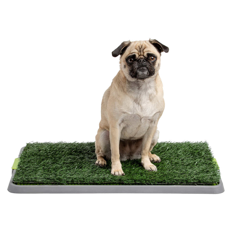 Potty Patch Indoor/Outdoor Training Turf Washroom for Dogs (Size Small)