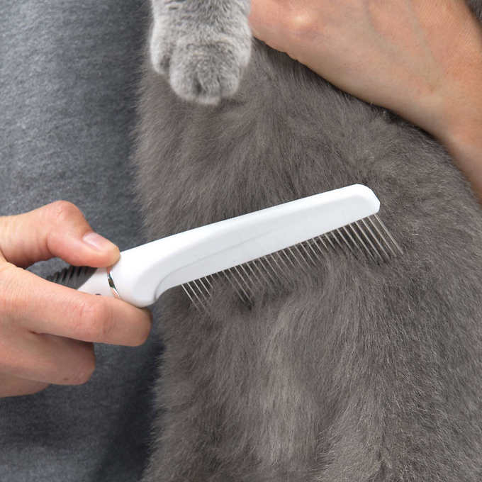 Catit Short-hair Cat Grooming Kit