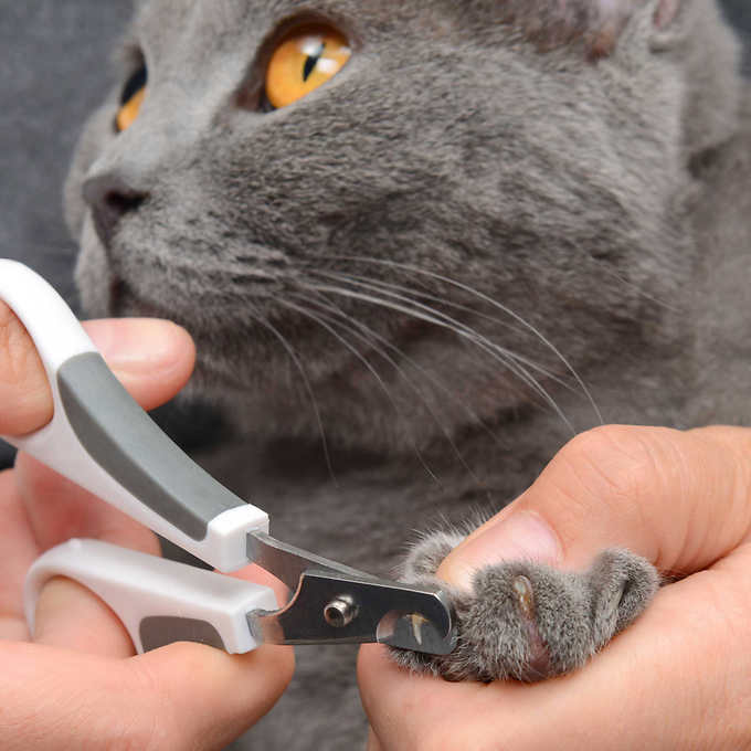 Catit Short-hair Cat Grooming Kit